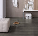 Holland Park LVT - Classic and Parquet
