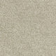 Aphrodite Classic Carpet