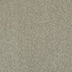 Invictus Cassius 70oz Carpet