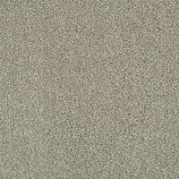 Invictus Darius 50oz Carpet