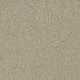 Invictus Cassius 70oz Carpet