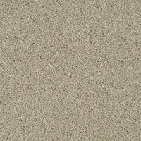 Invictus Darius 50oz Carpet