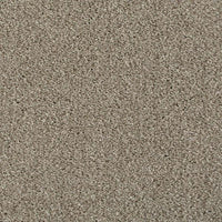 Invictus Cassius 70oz Carpet