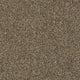 Invictus Cassius 70oz Carpet
