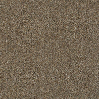 Invictus Darius 50oz Carpet