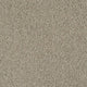 Invictus Cassius 70oz Carpet