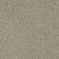 Invictus Darius 50oz Carpet