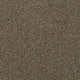 Invictus Cassius 70oz Carpet