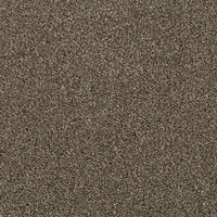 Invictus Darius 50oz Carpet