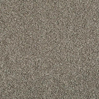 Invictus Cassius 70oz Carpet