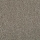 Invictus Cassius 70oz Carpet