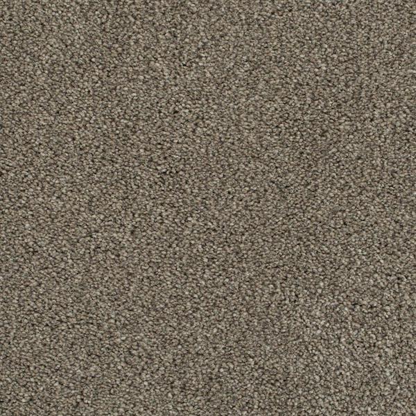 Invictus Darius 50oz Carpet
