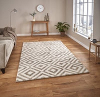 Elegant Rug