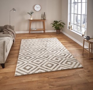 Elegant Rug