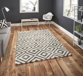 Elegant Rug
