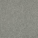 Invictus Cassius 70oz Carpet