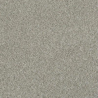Invictus Darius 50oz Carpet