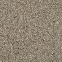 Invictus Cassius 70oz Carpet