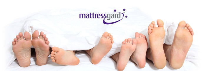 Staingard Mattress Protectors