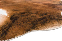 Texas Rug