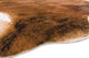 Texas Rug