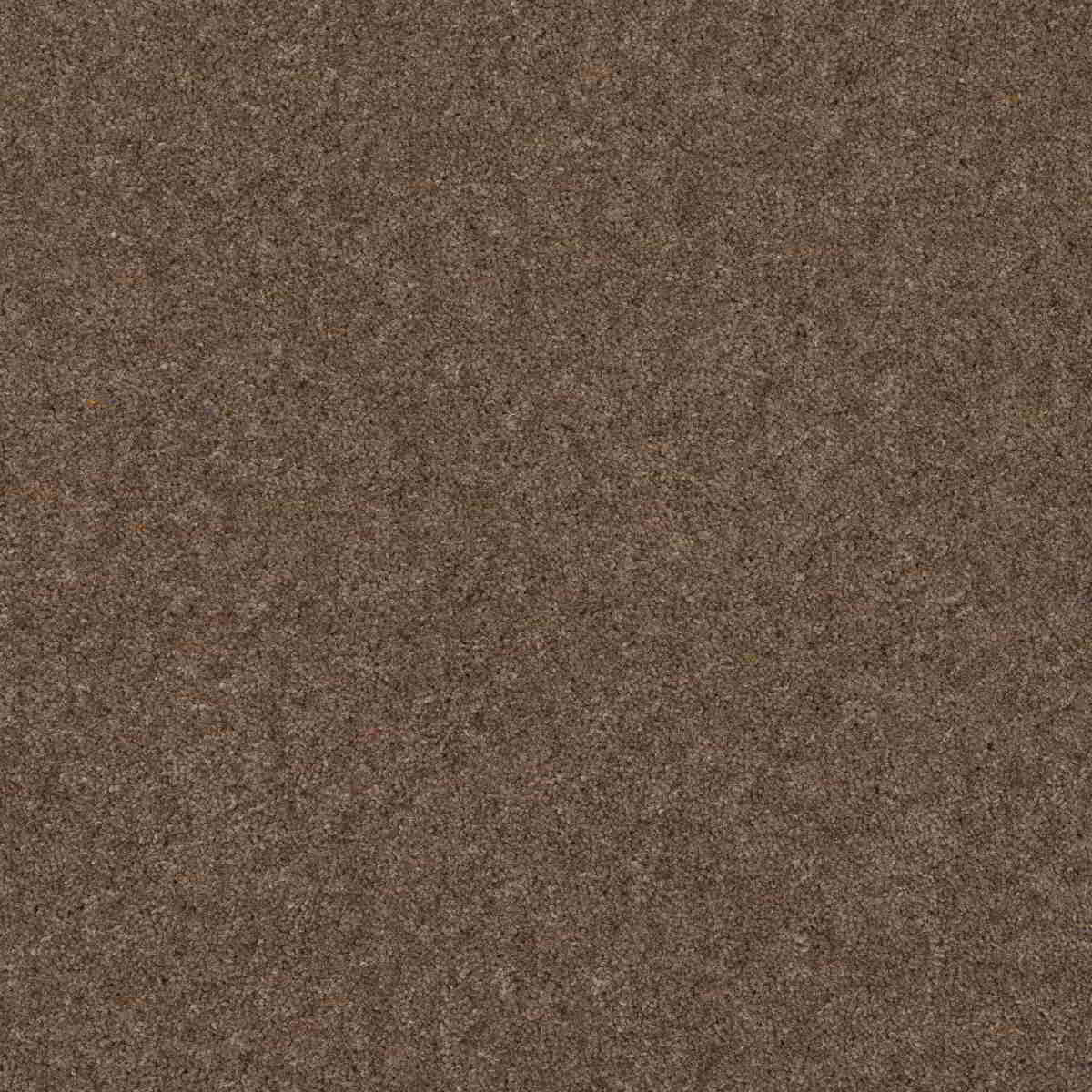 Burford Twist Carpet