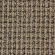 Pervgia Carpet