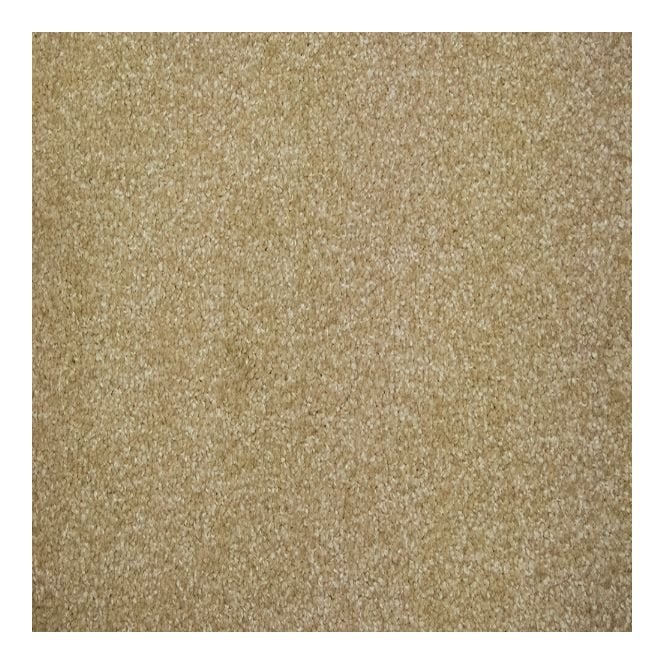 Harmony Carpet