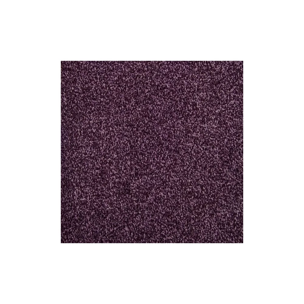 Harmony Carpet