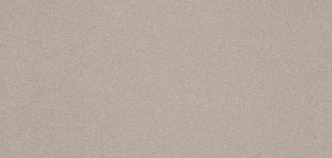 Elegance Carpet