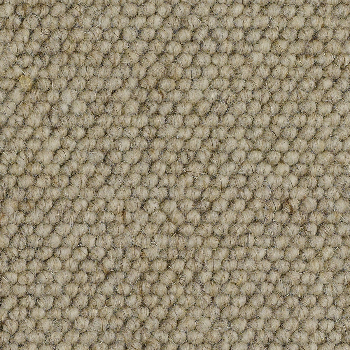 Padstow Carpet