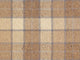 Abbotsford Carpet - Brintons
