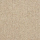 Fistral Carpet