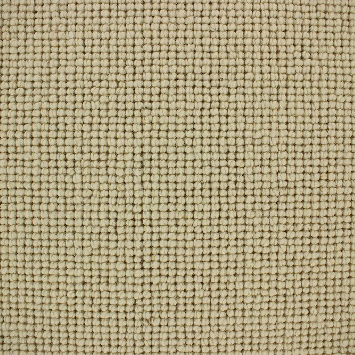Maggiore Carpet