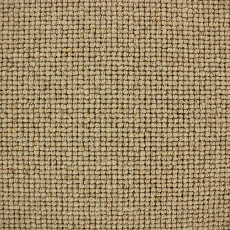 Maggiore Carpet