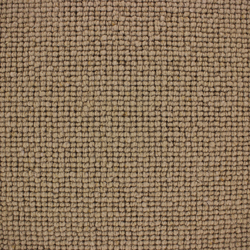 Maggiore Carpet