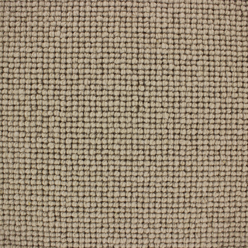 Maggiore Carpet