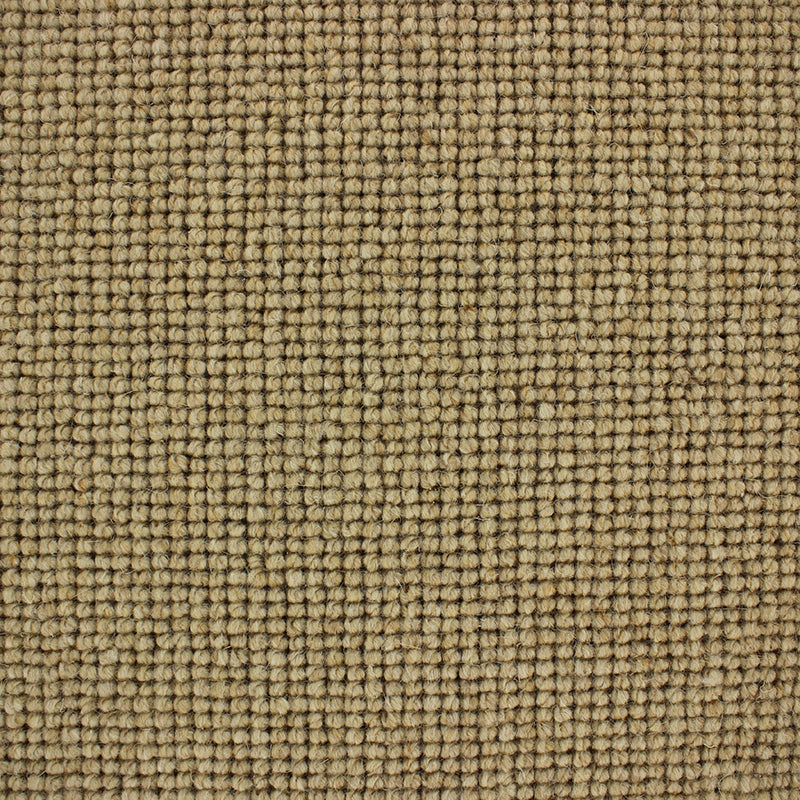 Maggiore Carpet