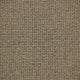 Maggiore Carpet
