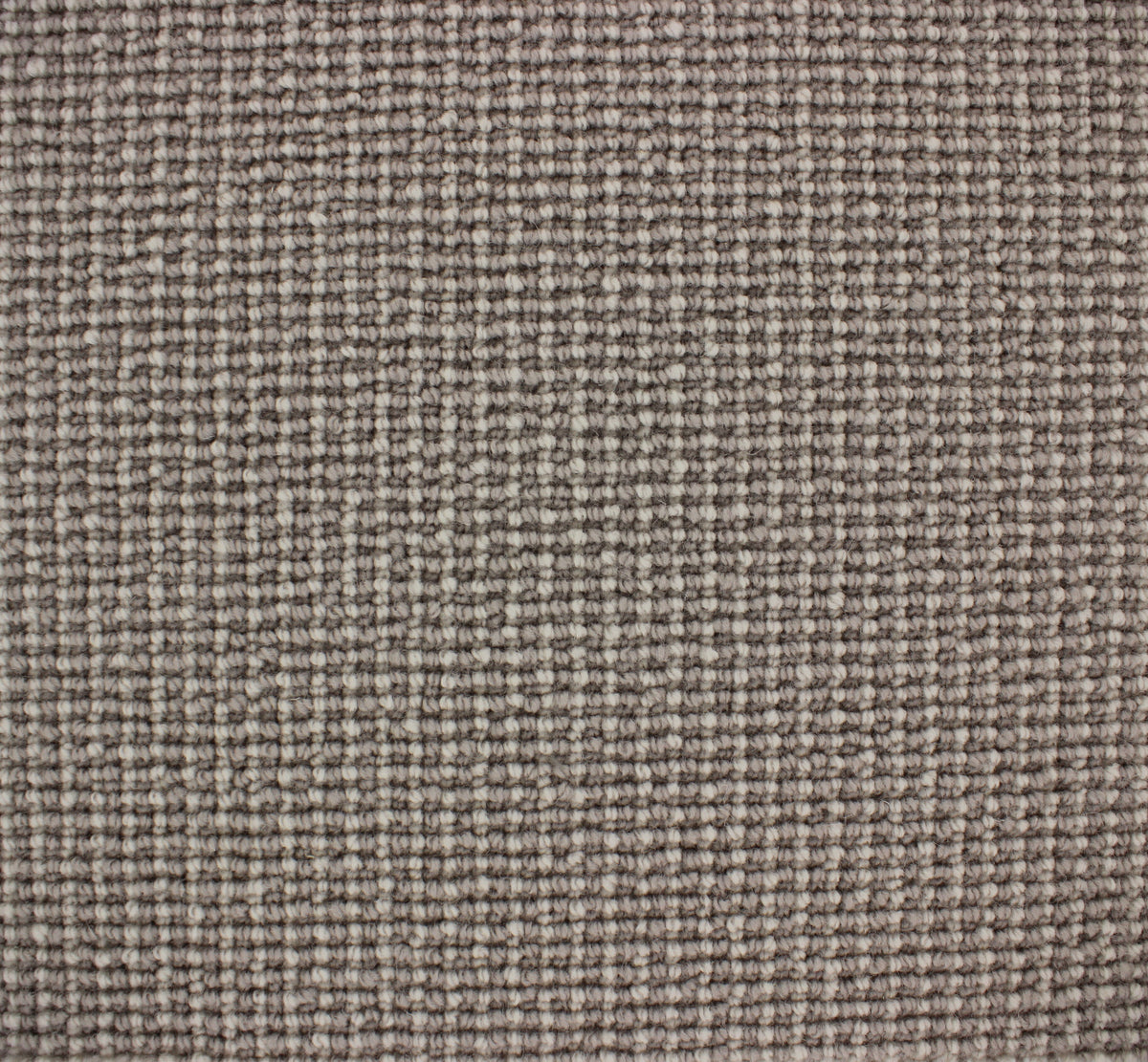 Palermo Carpet