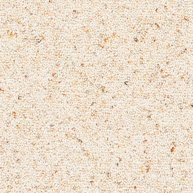 Brockway - Orion Twist Carpet
