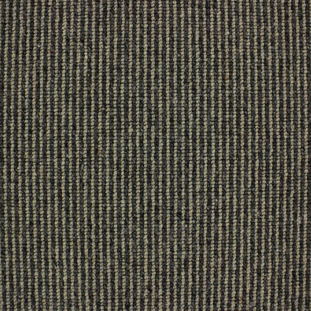 Livorno Carpet