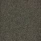 Livorno Carpet