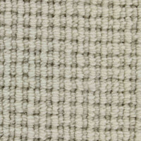 Pervgia Carpet