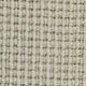 Pervgia Carpet