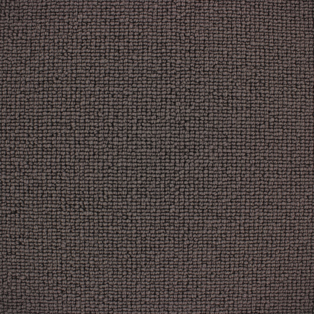 Siena Carpet