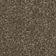 Brooklyn Carpet