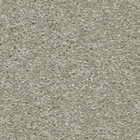 Brooklyn Carpet