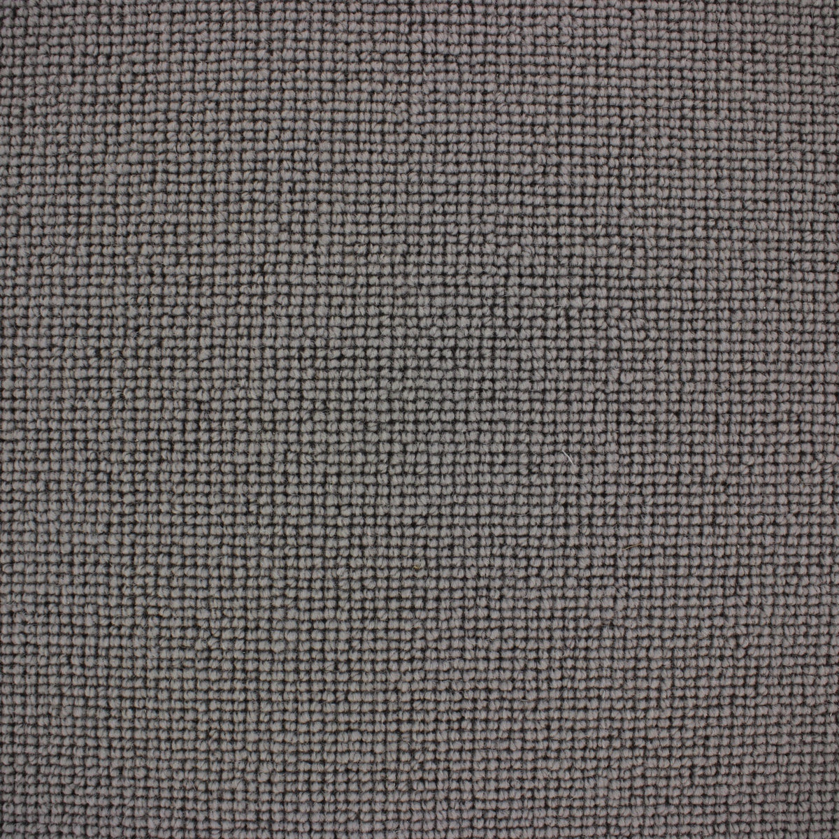 Siena Carpet