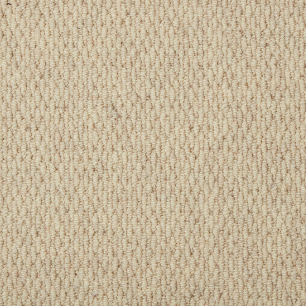 Casablanca Carpet